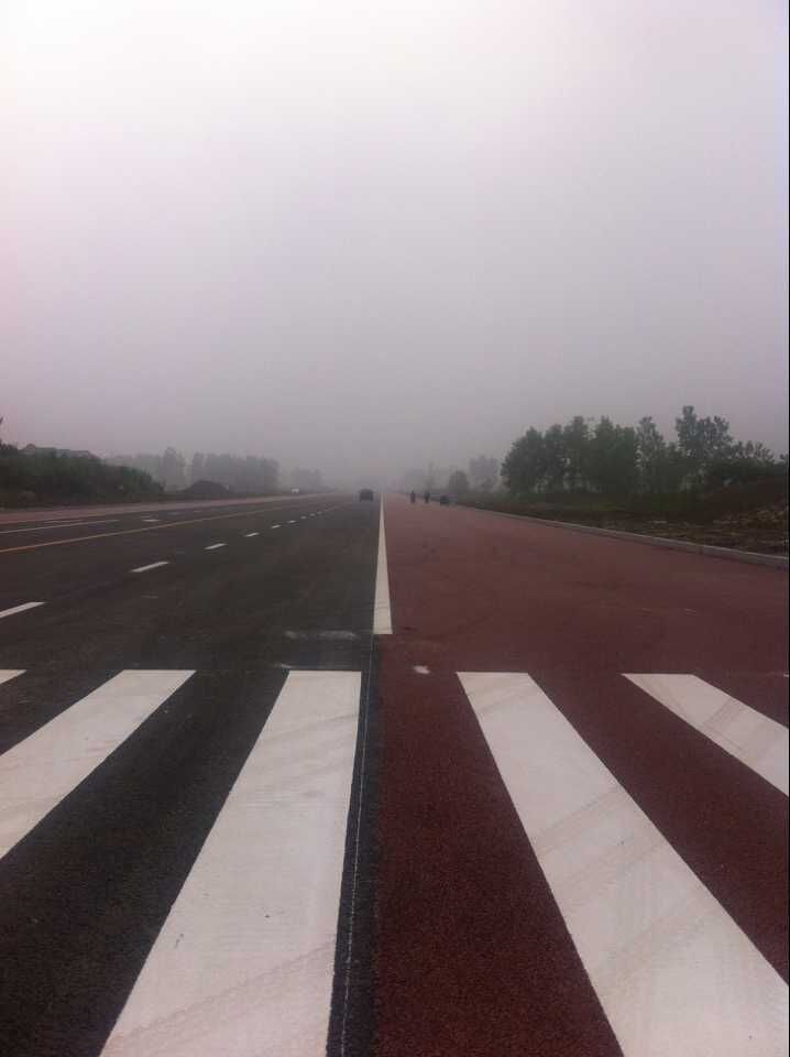 金湖縣城南干道(人民南路-黎農(nóng)河)道路、排水及污水管道工程